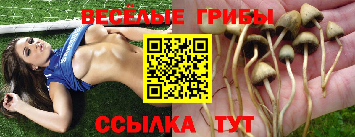 Псилоцибиновые грибы мицелий Туапсе