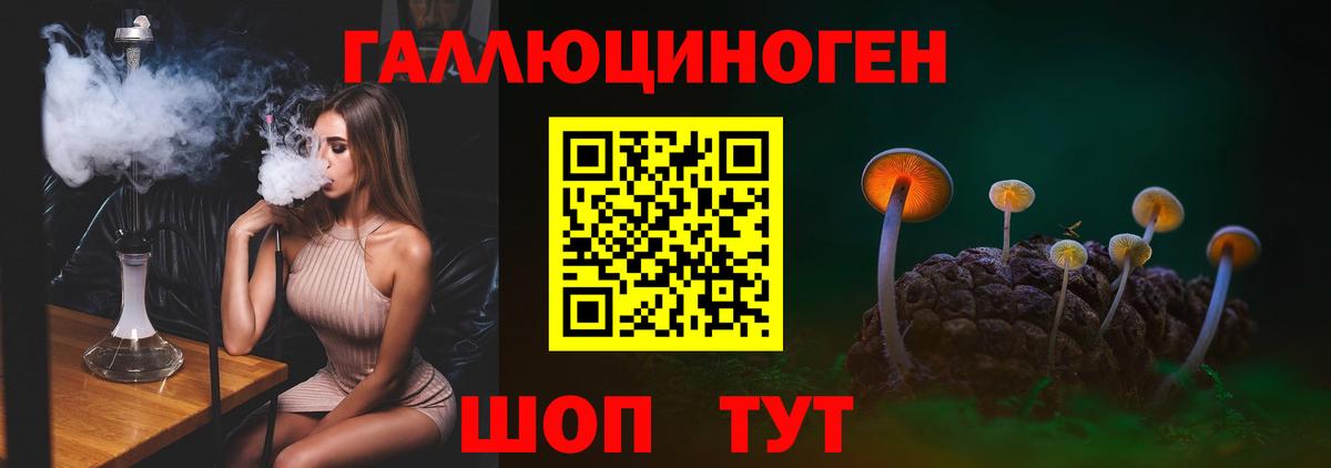 Туапсе  Псилоцибиновые грибы MAGIC MUSHROOMS  Вход с VPN 